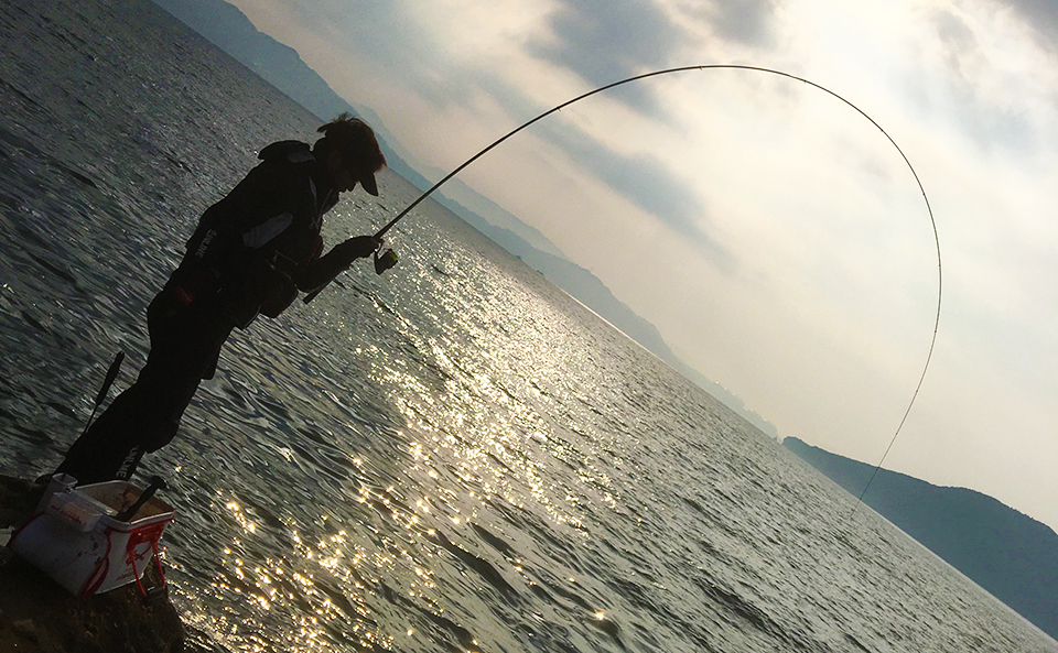 小飛島（西のハナレ）でクロ釣り+秋チヌ