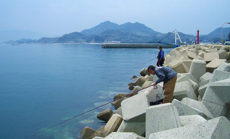 唐泊漁港、のっこみチヌダービー