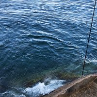 盆休みのイサキとクロ釣り（松島・加唐島）