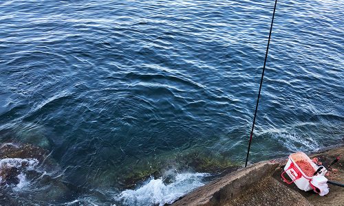 盆休みのイサキとクロ釣り（松島・加唐島）