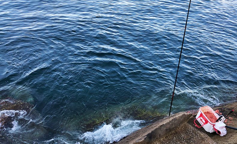 盆休みのイサキとクロ釣り（松島・加唐島）