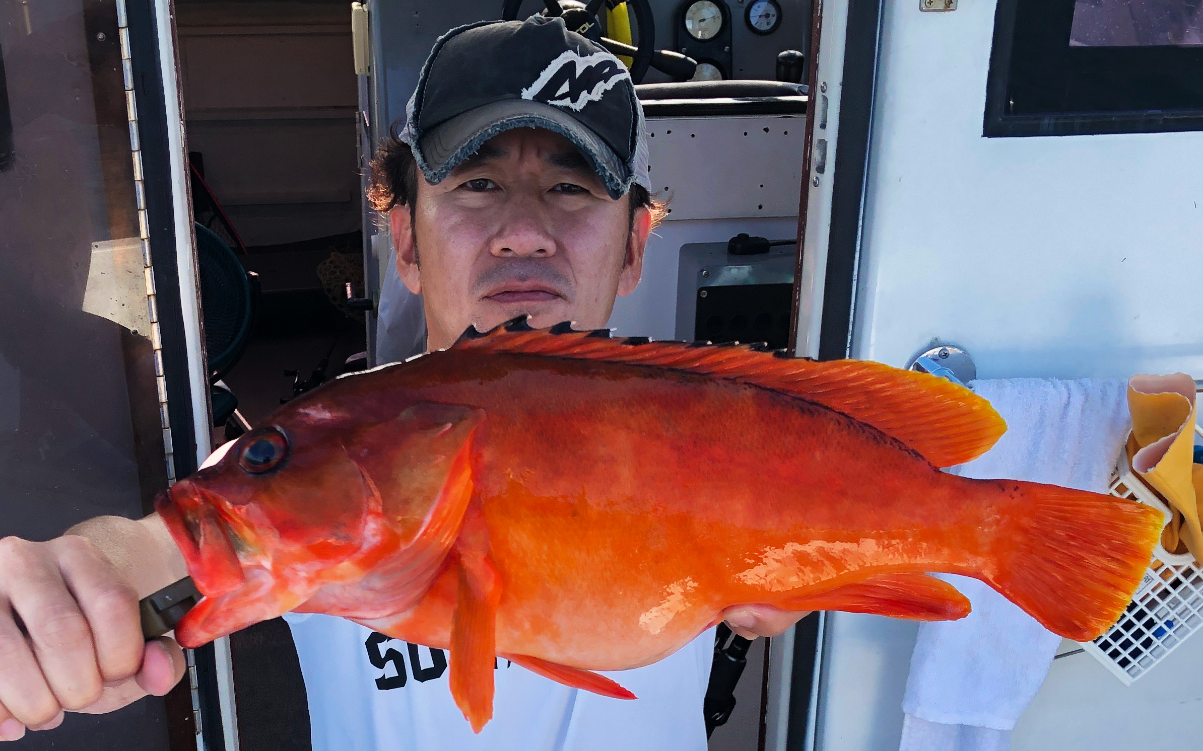 アカハタ良型連発！小呂島ポイントでの泳がせ釣り