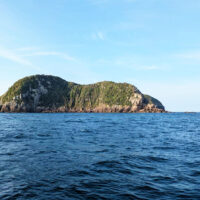 二神島沖で7.5kgのヒラマサ！ボートジギング