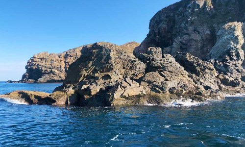 クロ釣りシーズン突入、倉島（マンジュウ）