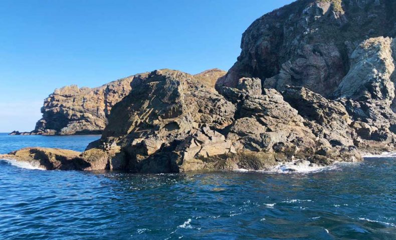 クロ釣りシーズン突入、倉島（マンジュウ）