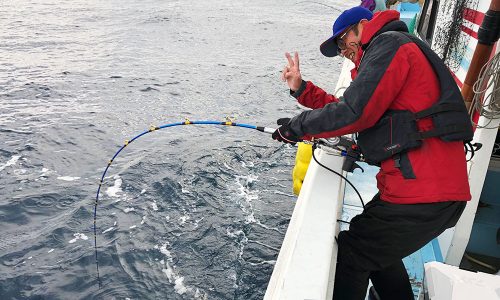 初釣りは、シーズン終盤の落とし込み釣り