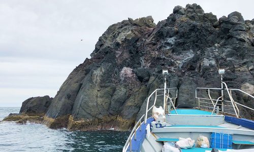 秋磯全開！クロ釣りシーズン突入（古志岐三礁：スベリ）