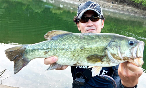 夏の終わりに子供とバス釣りと水遊び