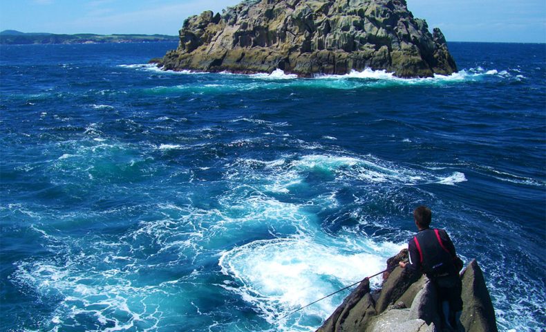 古志岐三礁（ラクダ瀬）の湧きグレ