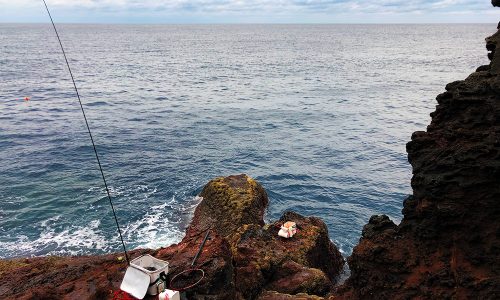 寒グロシーズンへ突入、古志岐三礁（カンバン下）の尾長