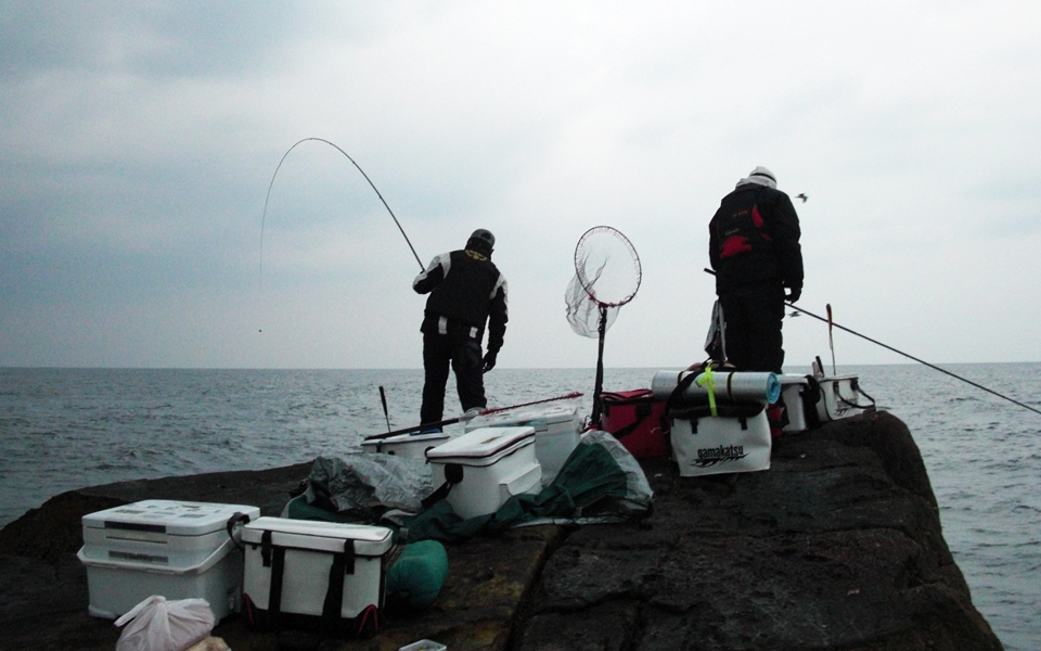 朝マズメ、3人で1枚ずつ