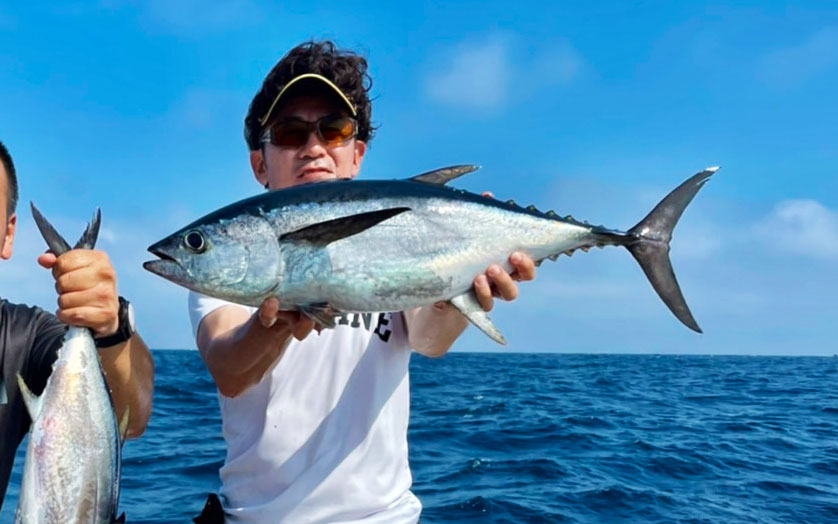 対馬オフショアキャスティング、本ガツオとコシナガマグロのナブラ撃ち