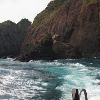 春季懇親釣り大会（下阿値賀島）