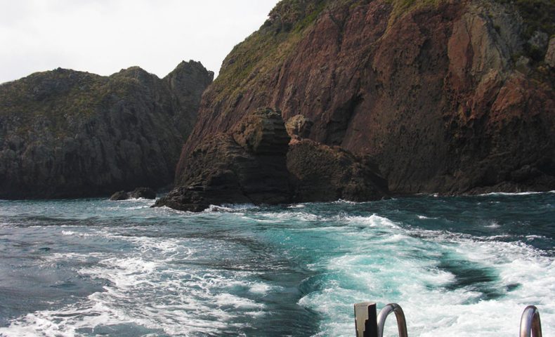 春季懇親釣り大会（下阿値賀島）