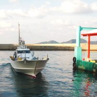 落とし込みが熱い！高級魚ヒラメ祭り