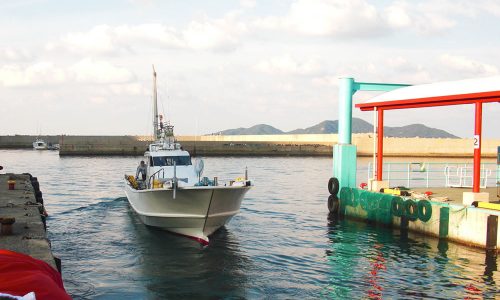 落とし込みが熱い！高級魚ヒラメ祭り