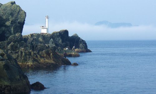 五島列島でイルカウォッチング