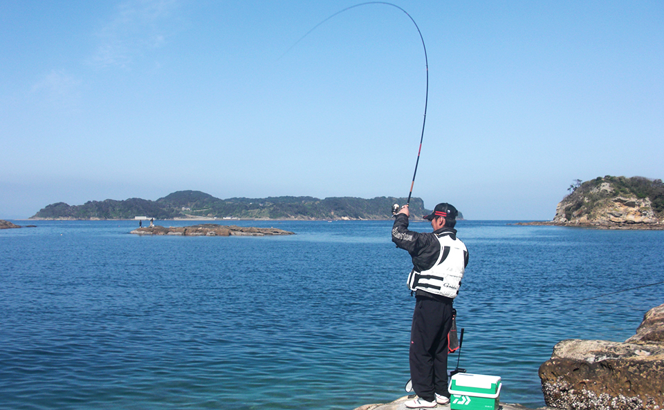 鷹島の磯