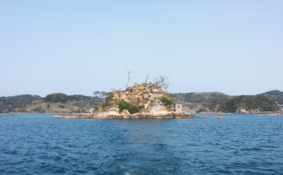 鷹島の磯