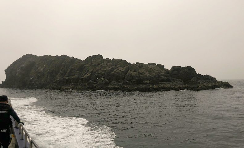 シーズン前の梅雨グロ調査（カモ瀬）