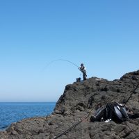 GFGチヌ釣り大会（真立島）