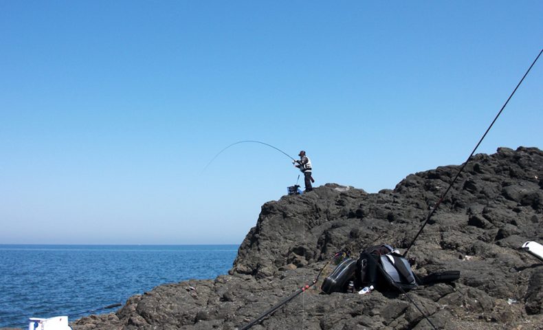 GFGチヌ釣り大会（真立島）