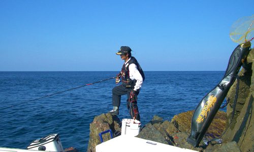 倉島（マンジュウ）のヒラマサ