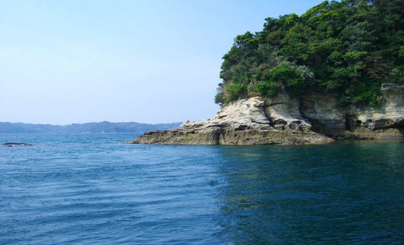 のっこみチヌを追って福島（小飛島）