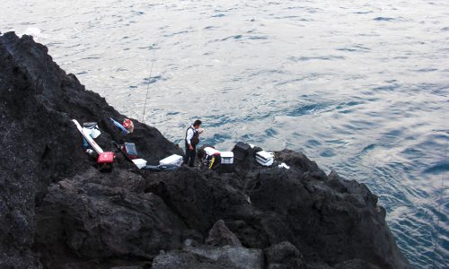 瀬泊釣行で秋磯を満喫、古志岐三礁（スベリ）