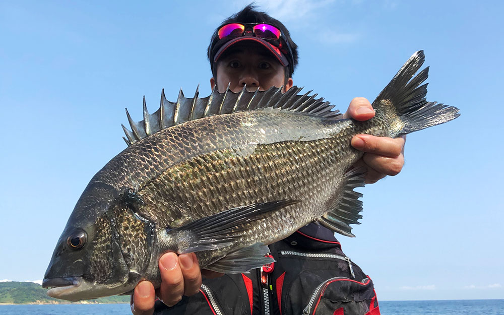 海に癒された、鷹島のマッスルチヌ