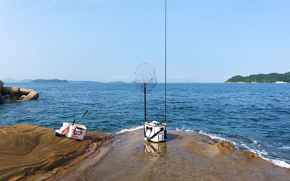 海に癒された、鷹島のマッスルチヌ