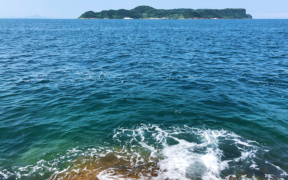 海に癒された、鷹島のマッスルチヌ