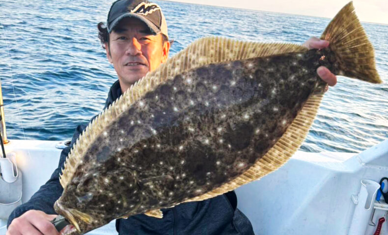 玄界島沖でアジ泳がせ：アラとヒラメ