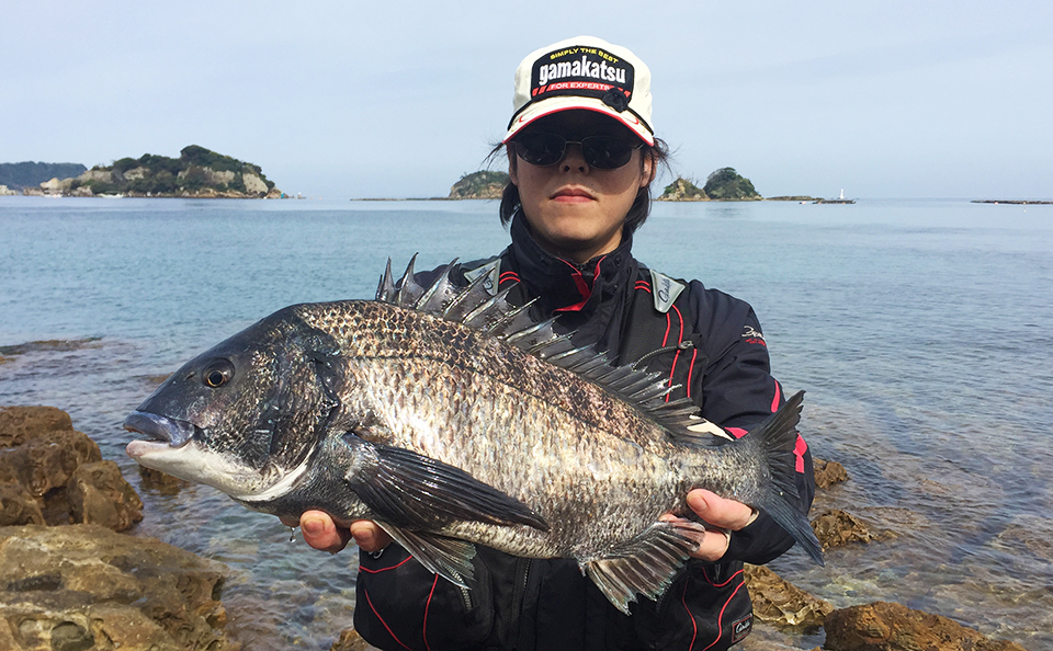 リベンジ、鷹島のノッコミ黒鯛