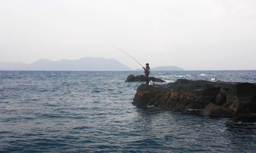 釣り納めで、釣り納まらず…