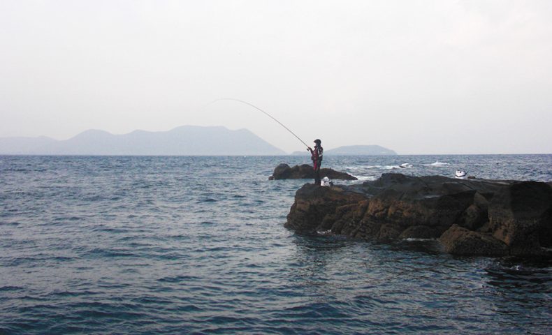 釣り納めで、釣り納まらず…