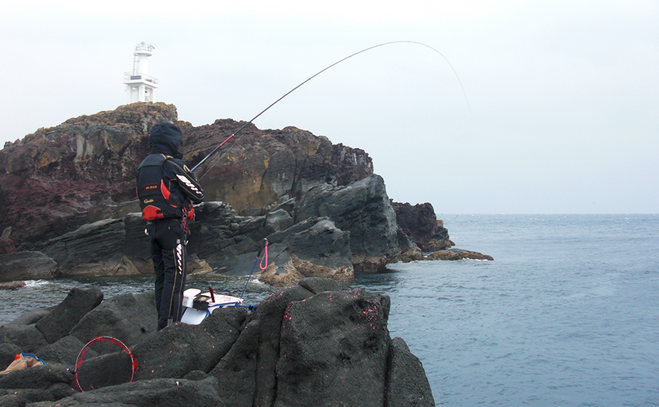 釣り納めで、釣り納まらず…