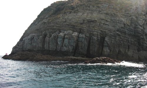 腹パンパンの良型クロ、美良島（ヘリコプター）