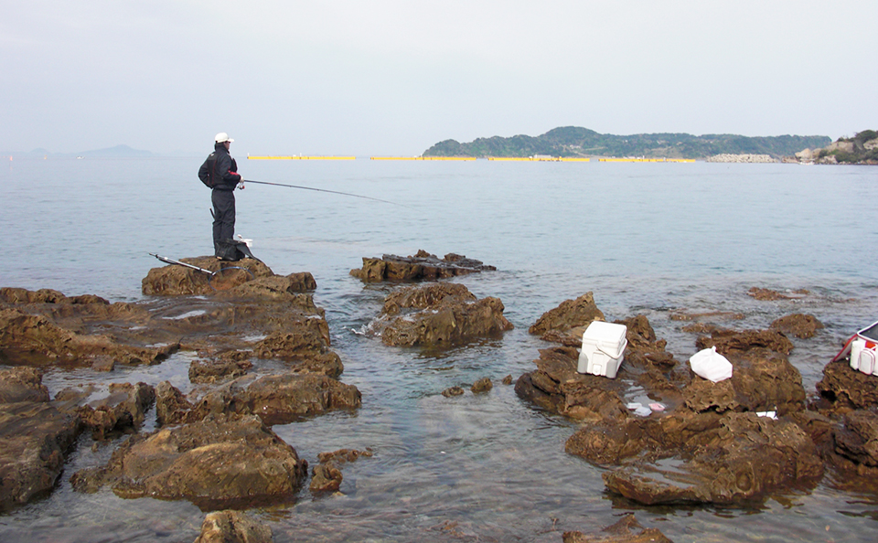 リベンジ、鷹島のノッコミ黒鯛