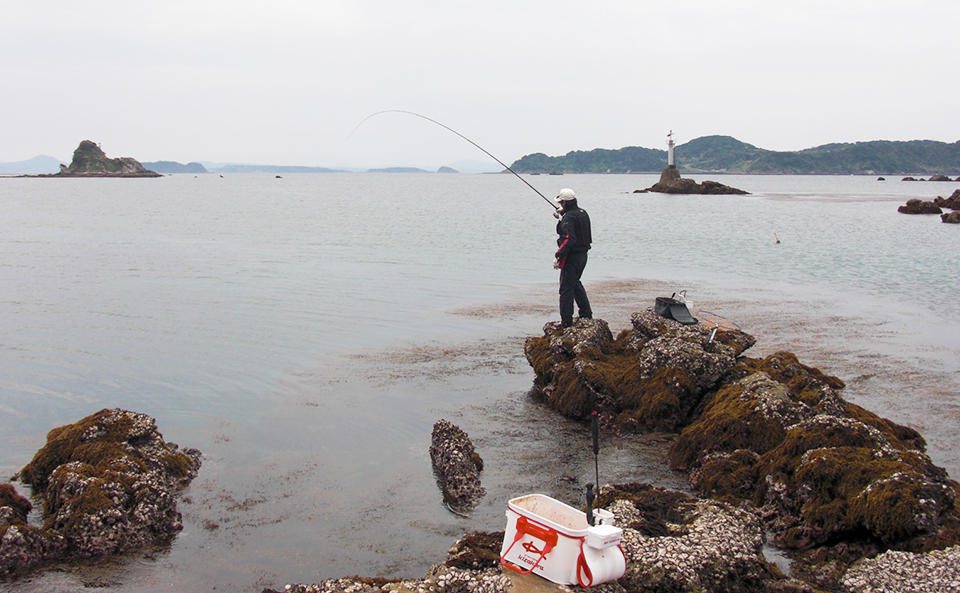 リベンジ、鷹島のノッコミ黒鯛