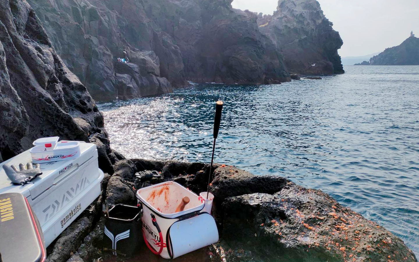 年末釣り納めでクーラー満タン：古志岐三礁（北東のカド）