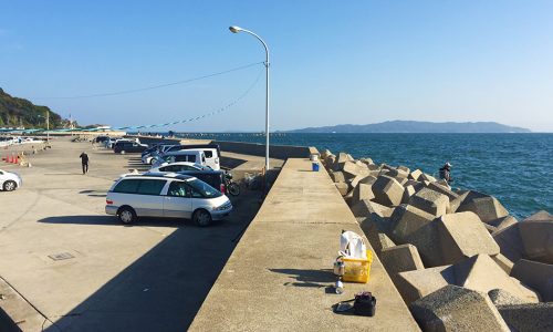 秋チヌで練習釣行（唐泊漁港）