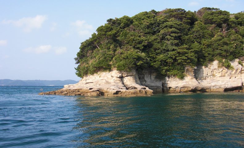 小飛島（西のハナレ）でクロ釣り+秋チヌ