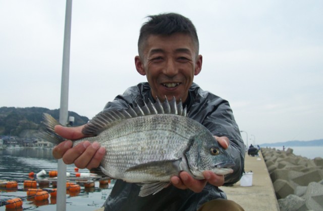 食べごろのチヌ