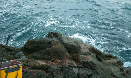 好釣果！10月の古志岐三礁（ロープ下）