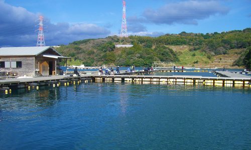 釣りセンター玄海で初釣り