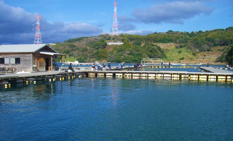 釣りセンター玄海で初釣り