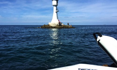 鷹島のオナガと男女群島のオナガ