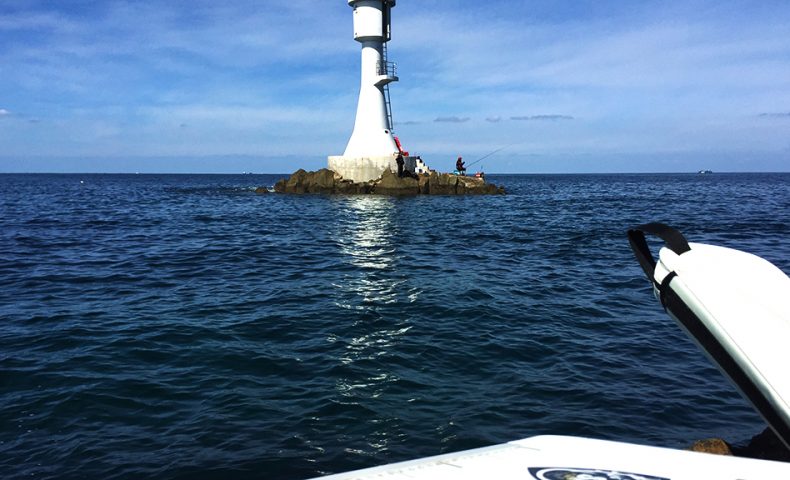 鷹島のオナガと男女群島のオナガ