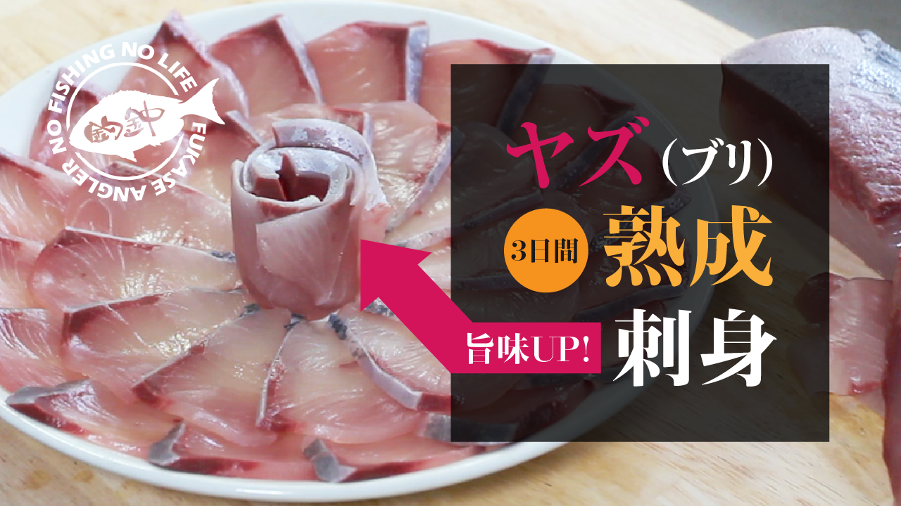 ヤズ ブリ の熟成 刺身 釣金中 つりきんちゅう フカセ釣り ジギング